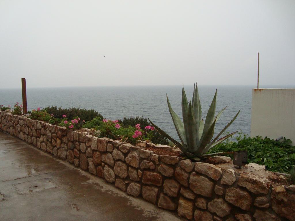 Kiro * Milna (Hvar)